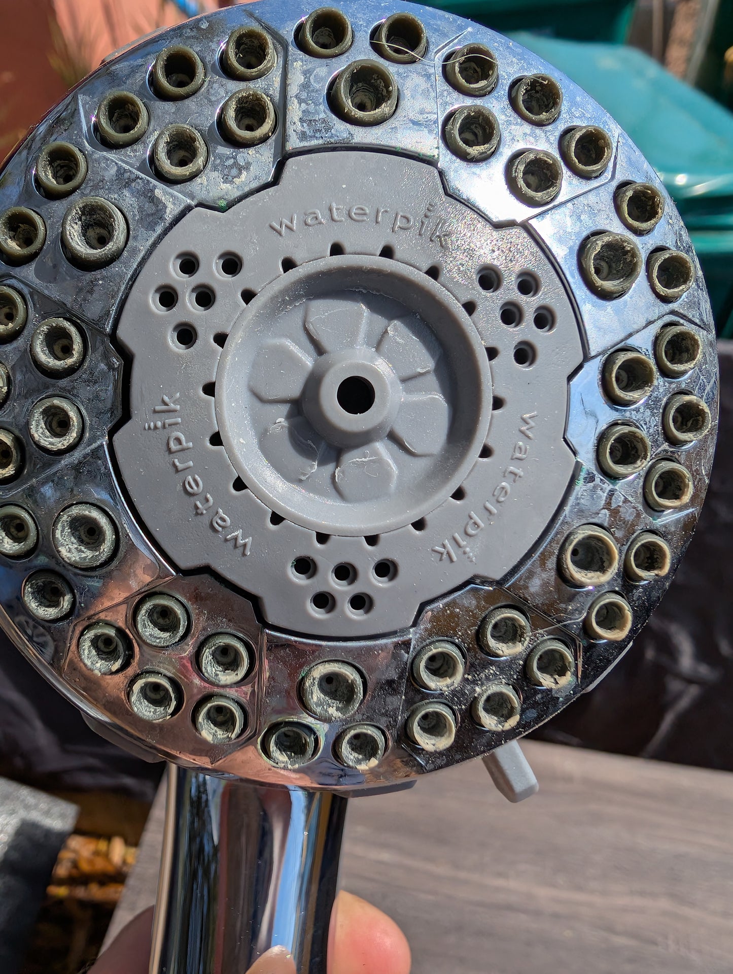 Waterpik Showerhead