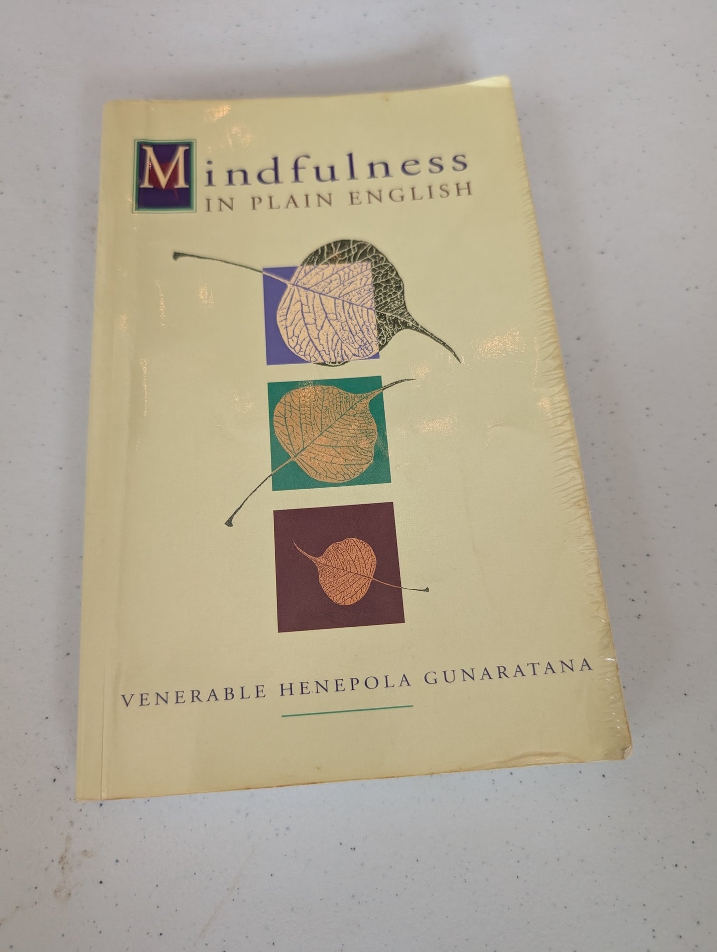 Mindfulness in Plain English by Henepola Gunaratana