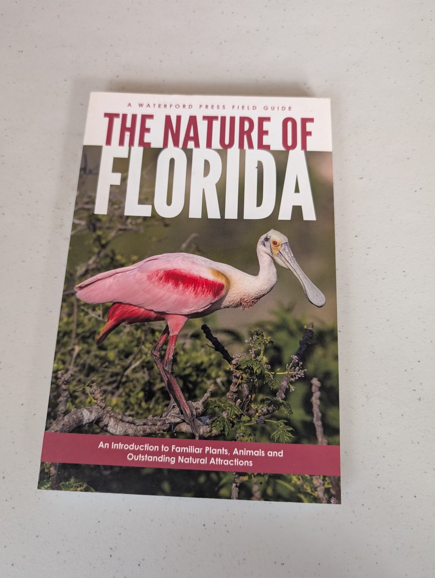 The Nature of Florida: An Introduction to Familiar Plants, Animals & Outstanding Natural Attractions Book by James Kavanagh
