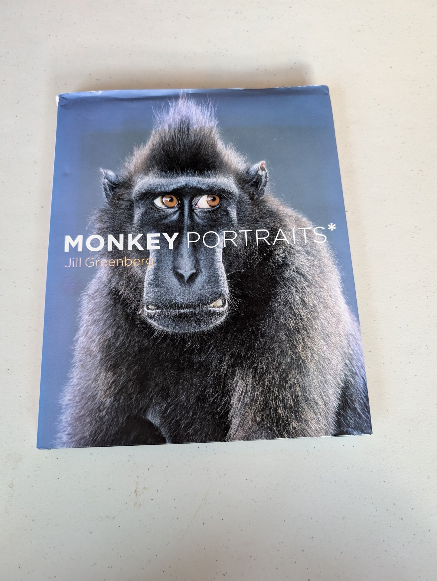 Monkey Portraits Book by Jill Greenberg