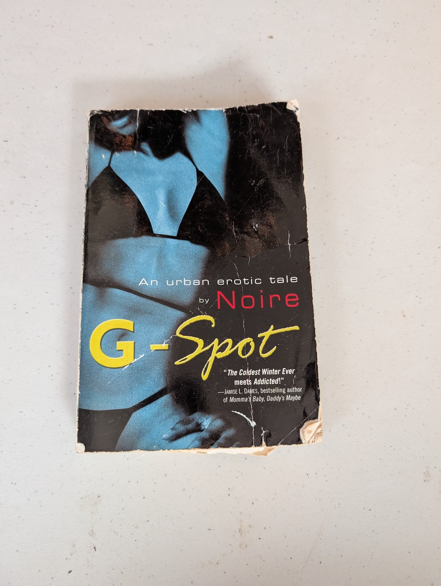 G-Spot: An Urban Erotic Tale book by Noire