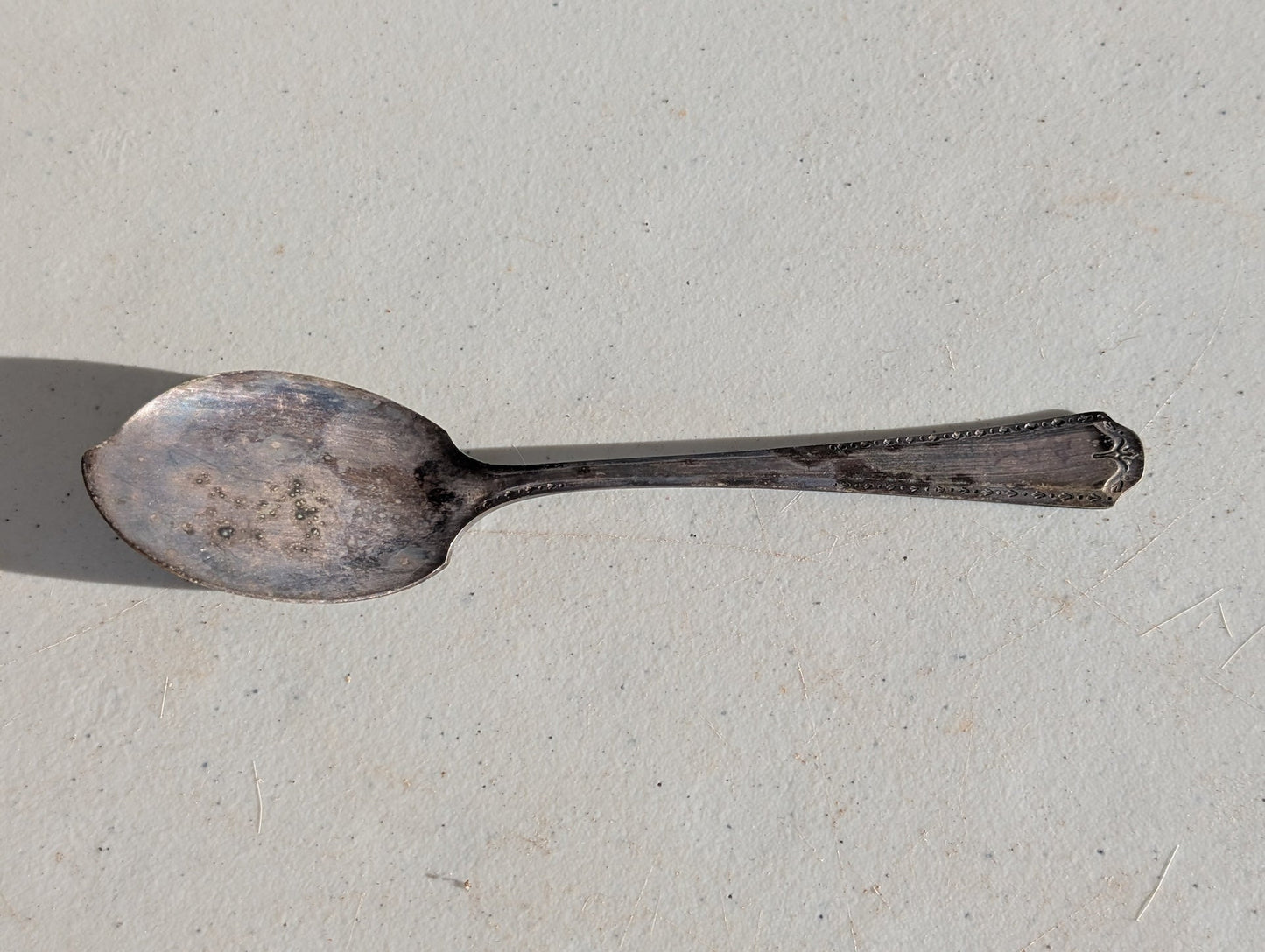 Everlasting (Silverplate, 1949) by Oneida Silver