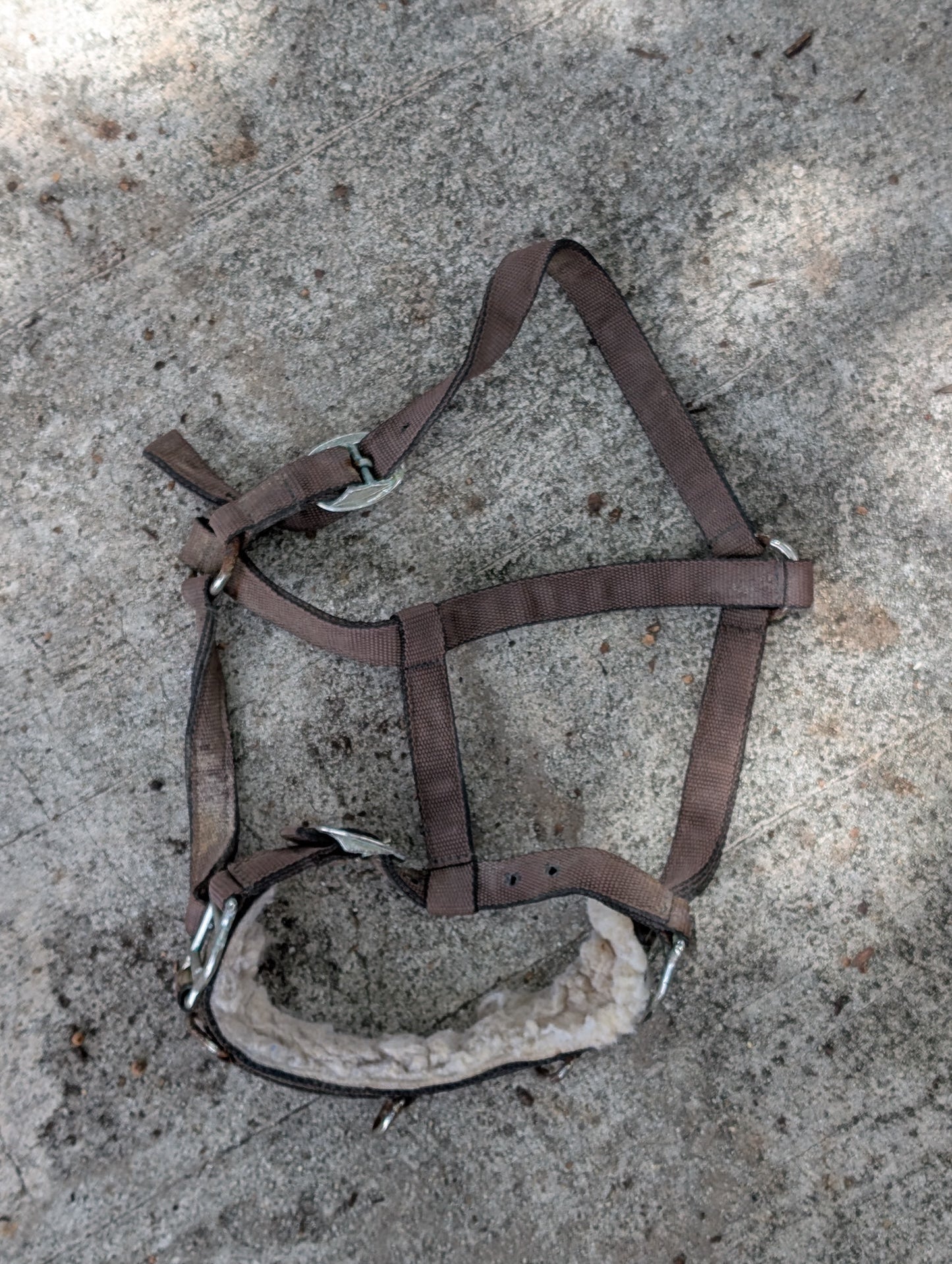 Padded Nylon Halter from Unknown - Tack (Nylon, Synthetic Fleece, Plated Metal Horse Tack, Farm/Stable, Brown, Cream)
