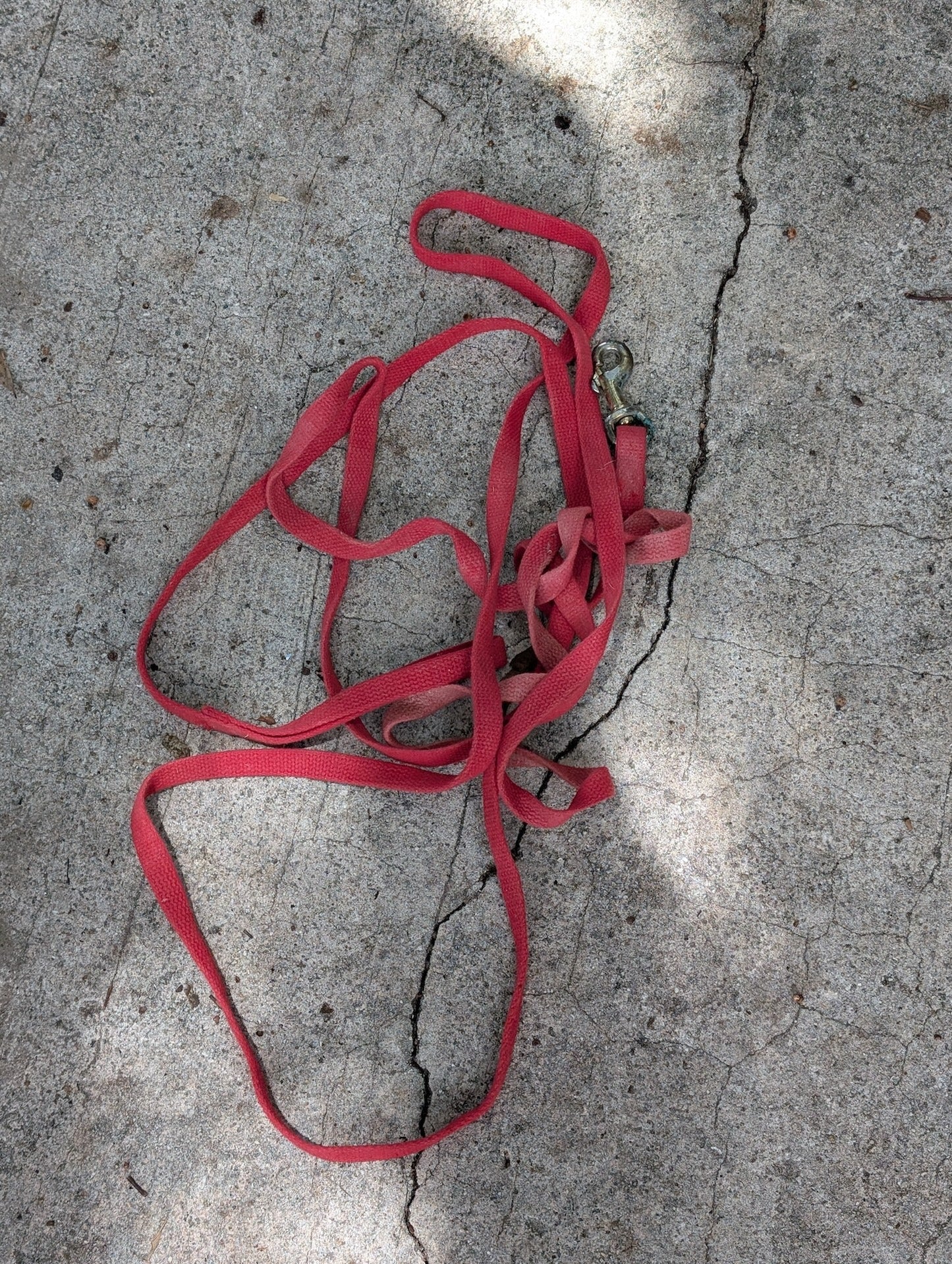 Lunge Line / Long Lead from Unknown - Training Equipment (Cotton/Nylon Webbing, Metal Horse Training Equipment, Equestrian, Red, Brass)