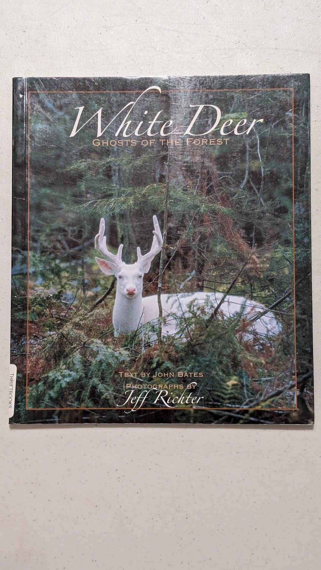 White Deer: Ghosts of the Forest by John Bates (Text) & Jeff Richter (Photos) (Nature, Photography, 2006)