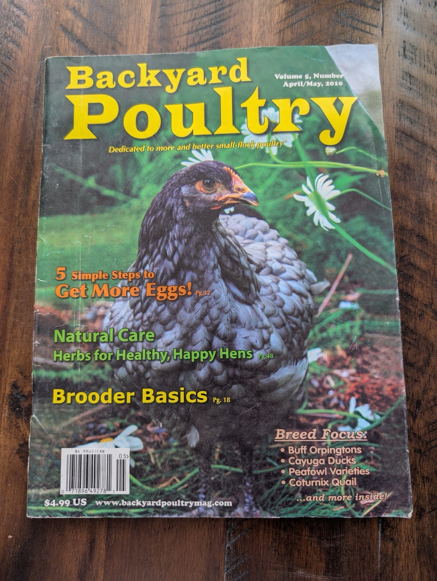 Backyard Poultry by Ogden Publications (Magazine, Agriculture, Hobbies, 2010, backyard poultry, chicken care, raising hens, brooder basics, chicken breeds)