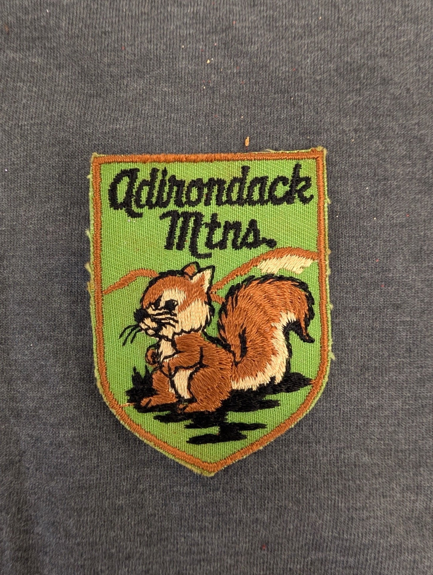 Vintage Adirondack Mountains Patch Squirrel Nature Souvenir New York Travel