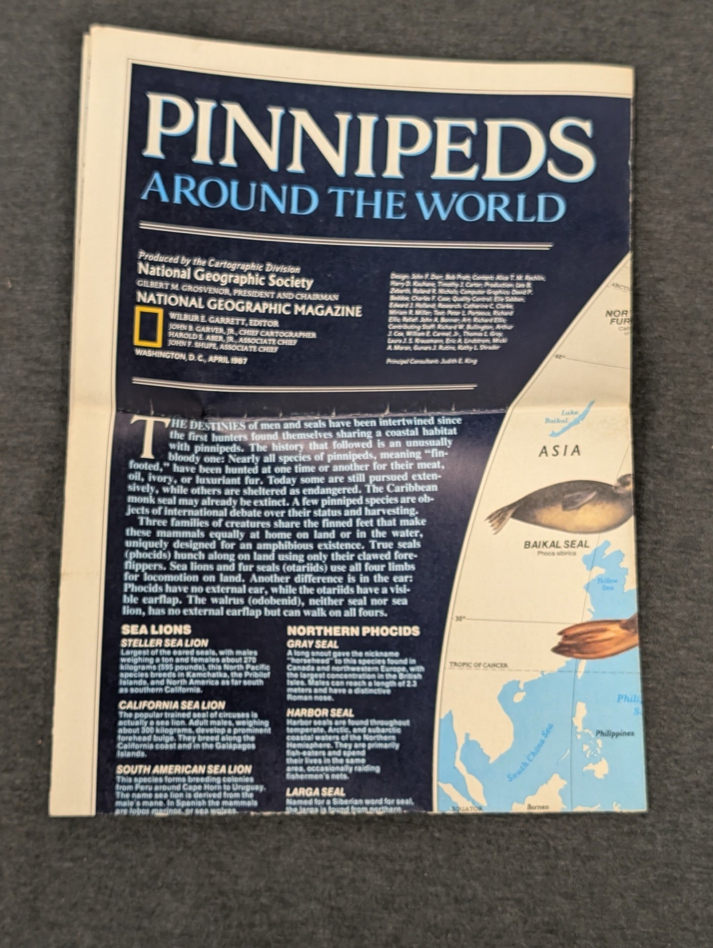 Folded National Geographic map titled Pinnipeds Around the World from April 1987 featuring a Baikal Seal.