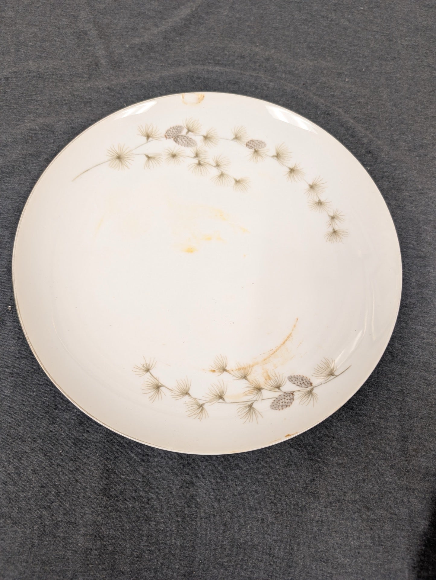 Mikasa Sequoia 6141 plate showing visible orange/brown stains and a top chip