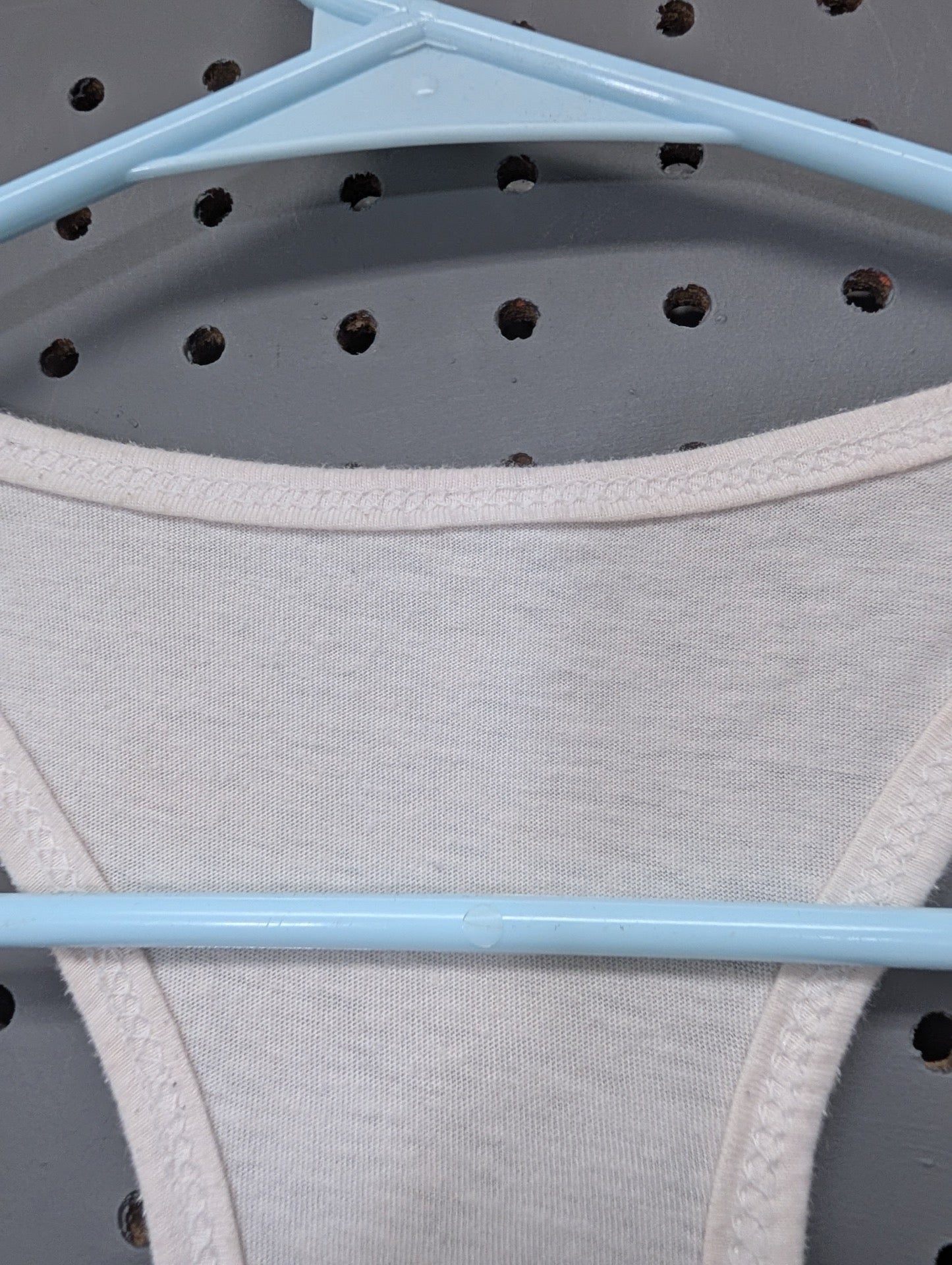 Close up of collar showing missing tag