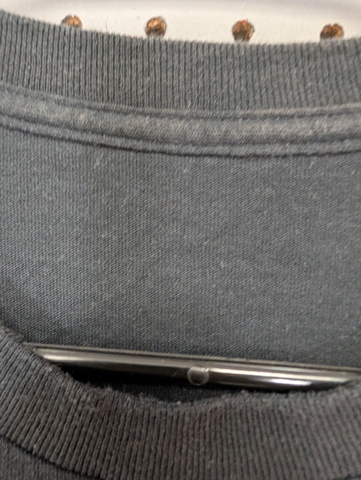 Detail shot showing the collar tag has been removed