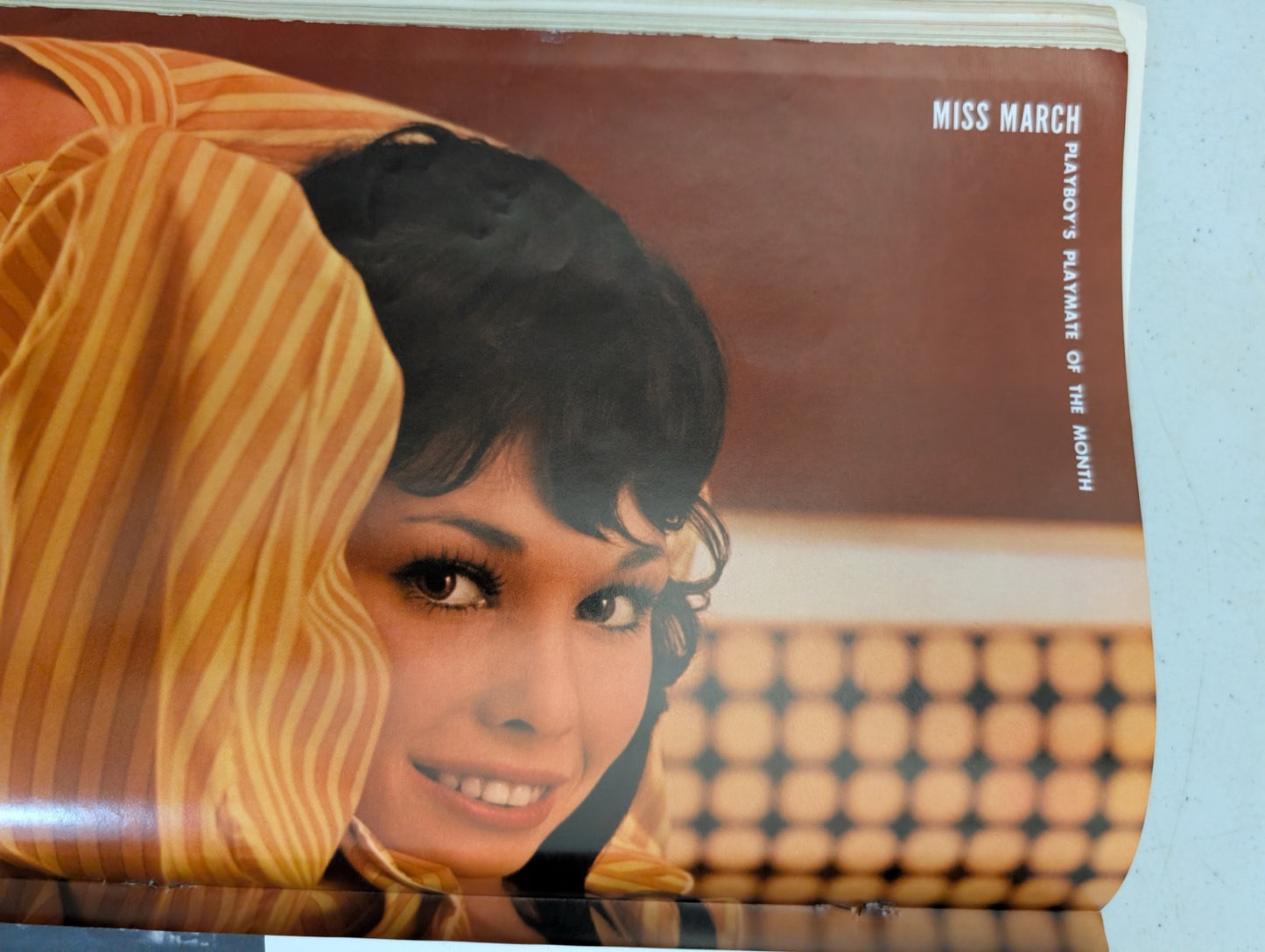 Inside centerfold page view of vintage Playboy magazine