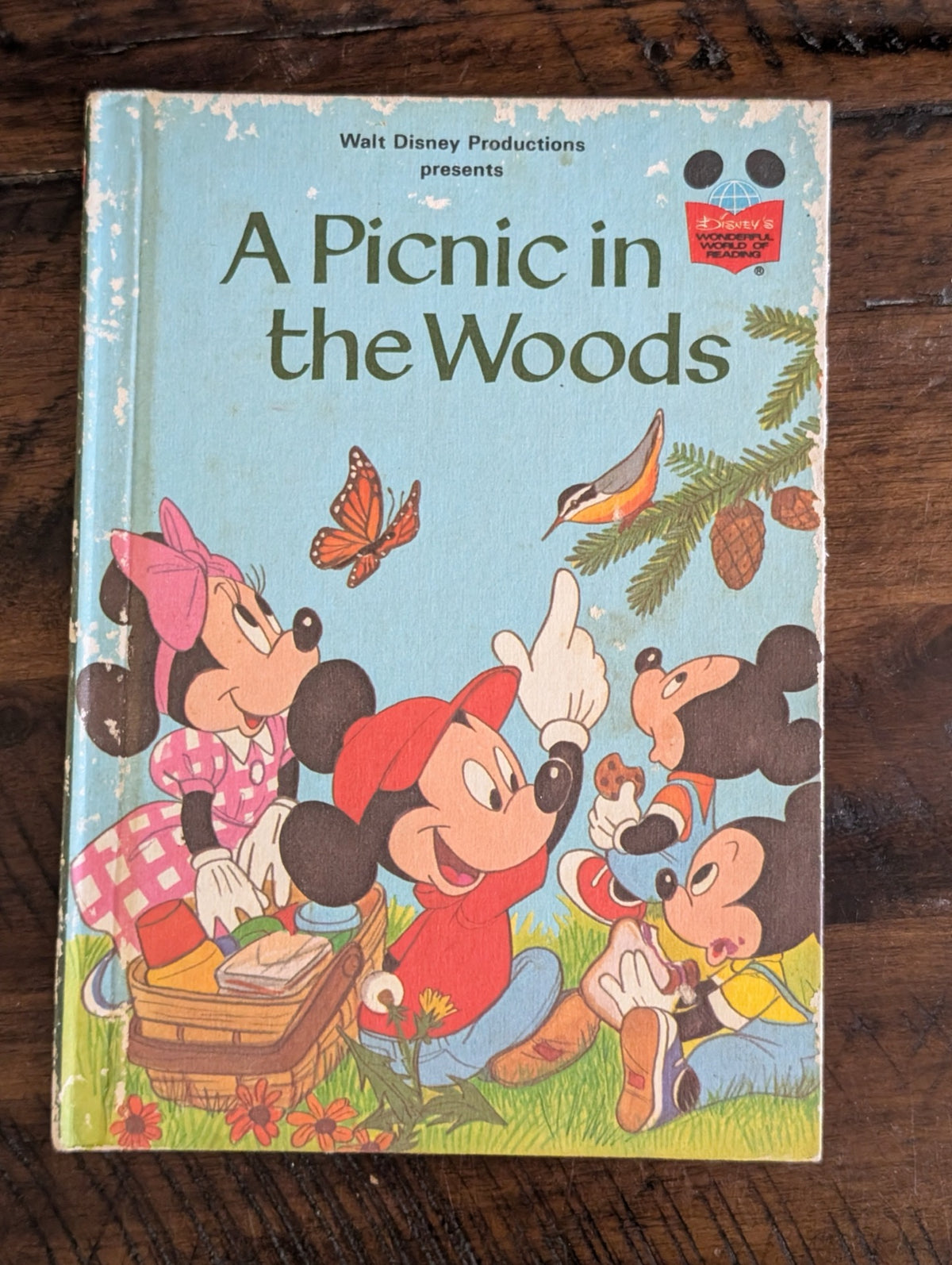 Disney A Picnic in the Woods Book Cover