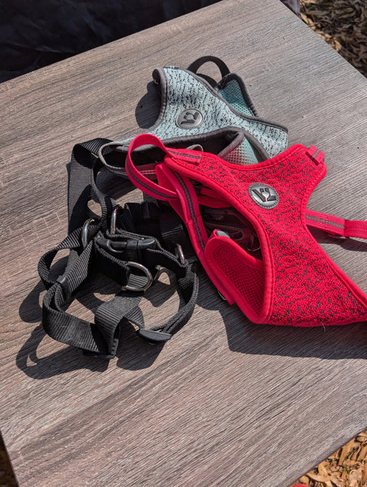 Small Dog Harnesses - set of three