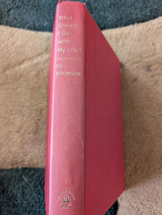 What Should I Do with My Life?: The True Story of People Who Answered the Ultimate Question - Book by Po Bronson