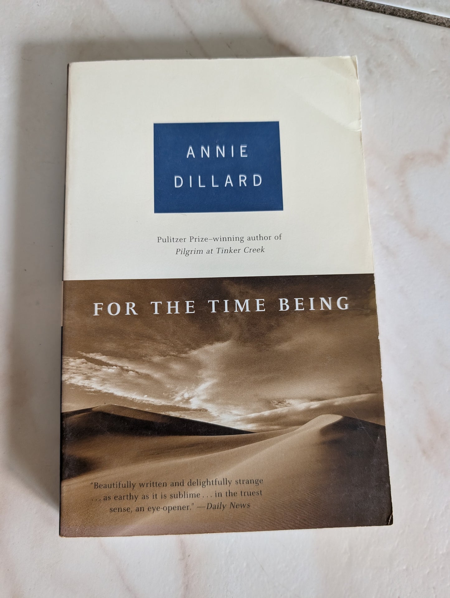 For the Time Being - Book by Annie Dillard
