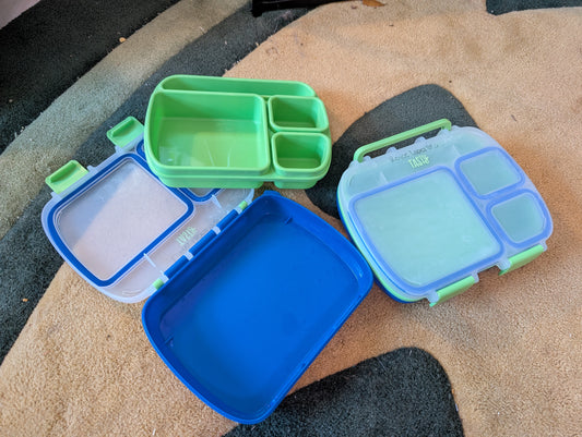 Two Tasty Bento Box, Lunch Box for Kids and Adults with Removable Tray and Handle