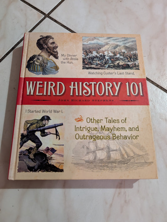 Weird History 101 by John Richard Stephen