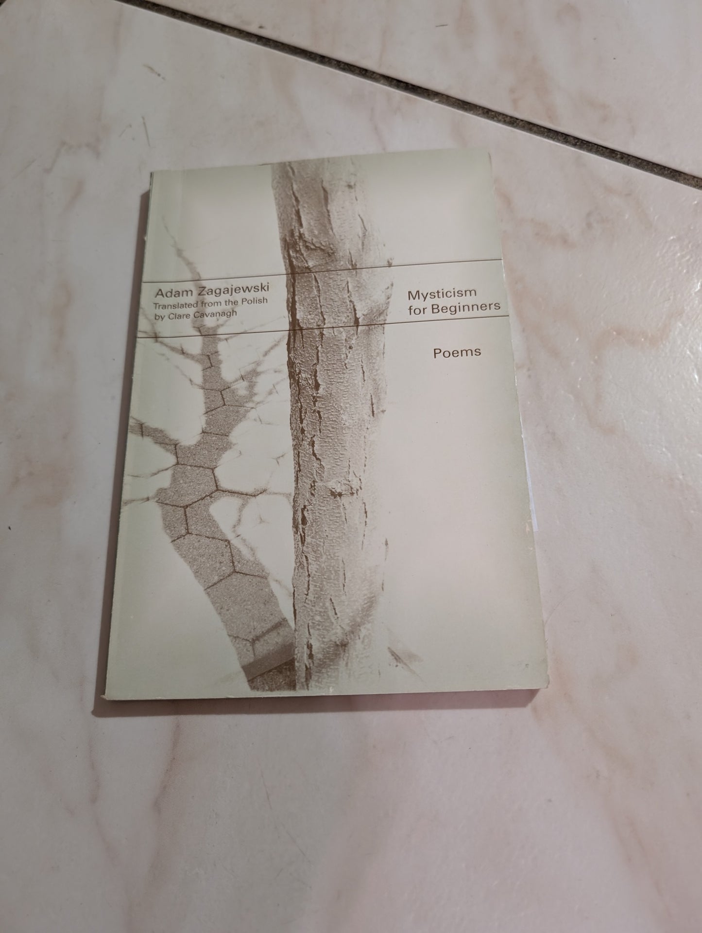 Mysticism for beginners Book by Adam Zagajewski