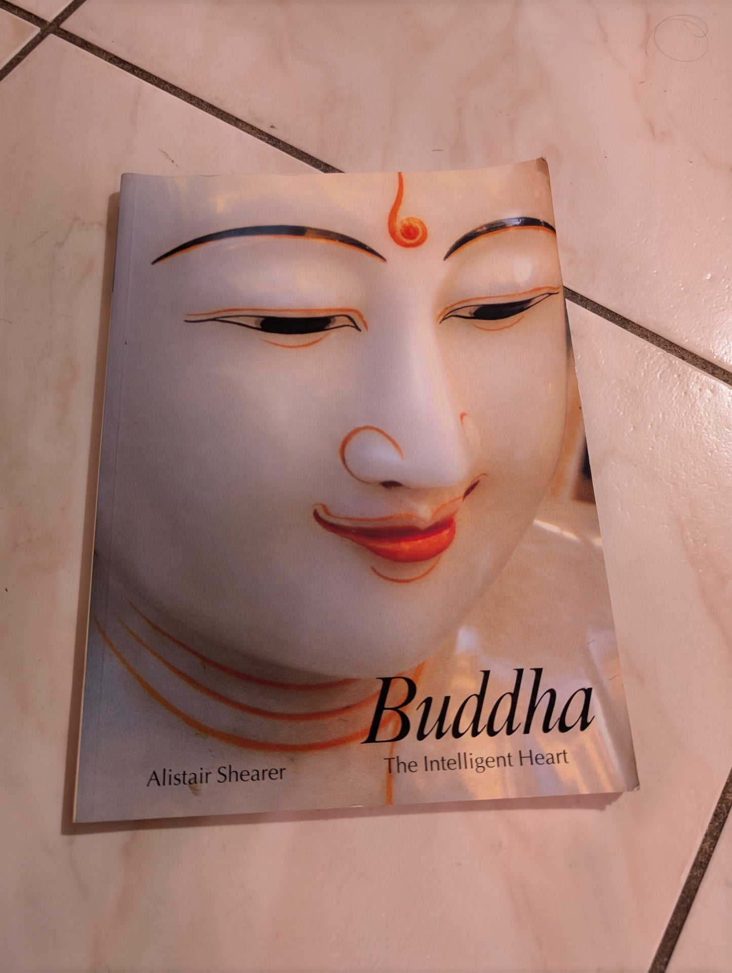 Art And Imagination Series Buddha Book by Alistair Shearer