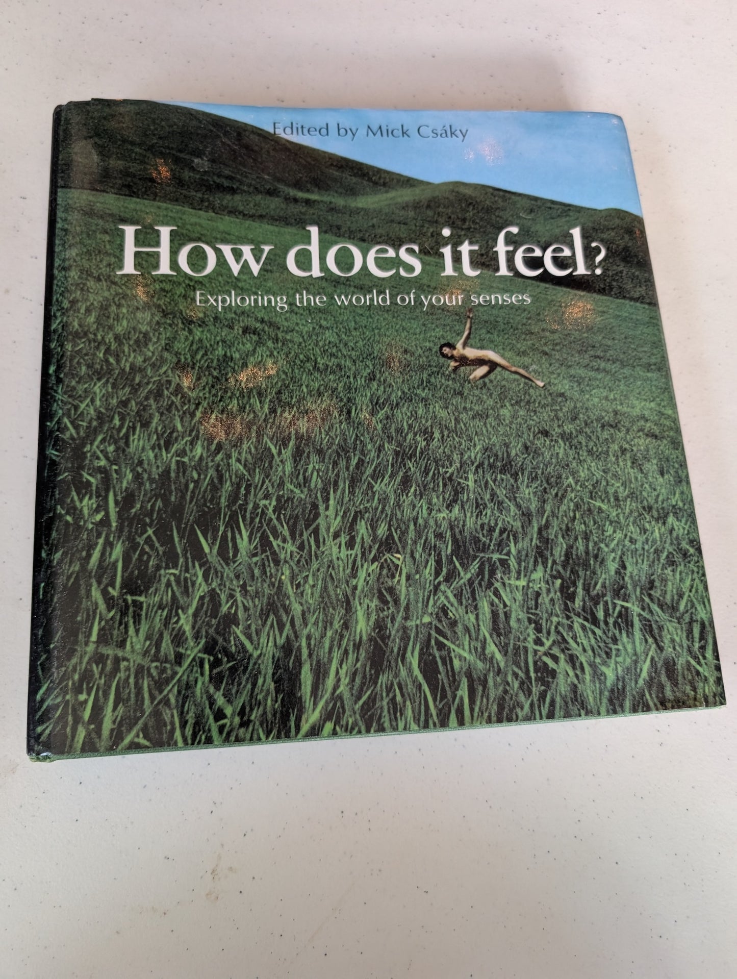 How Does It Feel Exploring the World of Your Senses by Csaky Mick