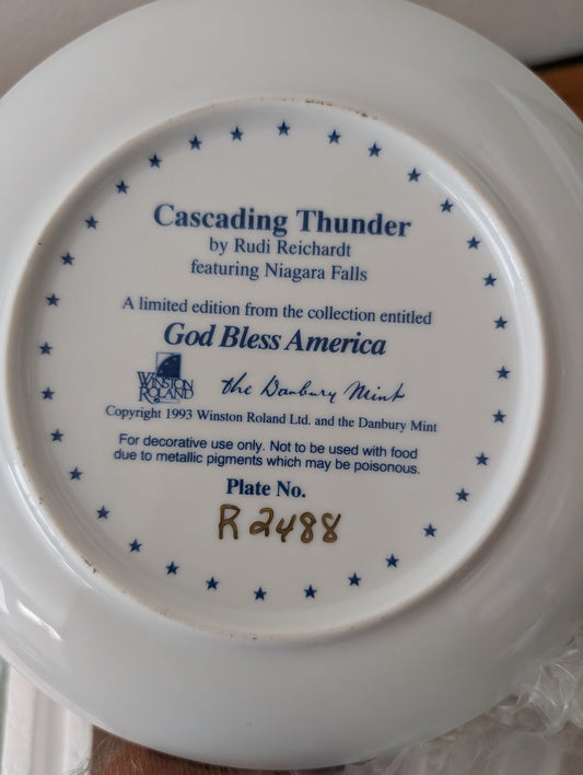 Cascading Thunder from The Danbury Mint - 1993 Wall Decor (Porcelain Collector Plate, Patriotic, Wildlife, Nature, White, Blue, Gold)