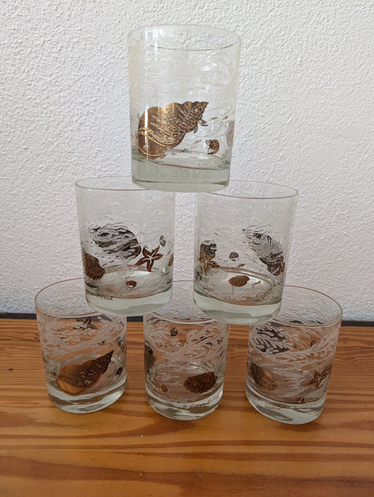 Gold Seashell Glasses from R.T.V. - 1983 Glassware (Glass Drinking Glasses, Coastal, Beach, Retro, Clear, Gold)