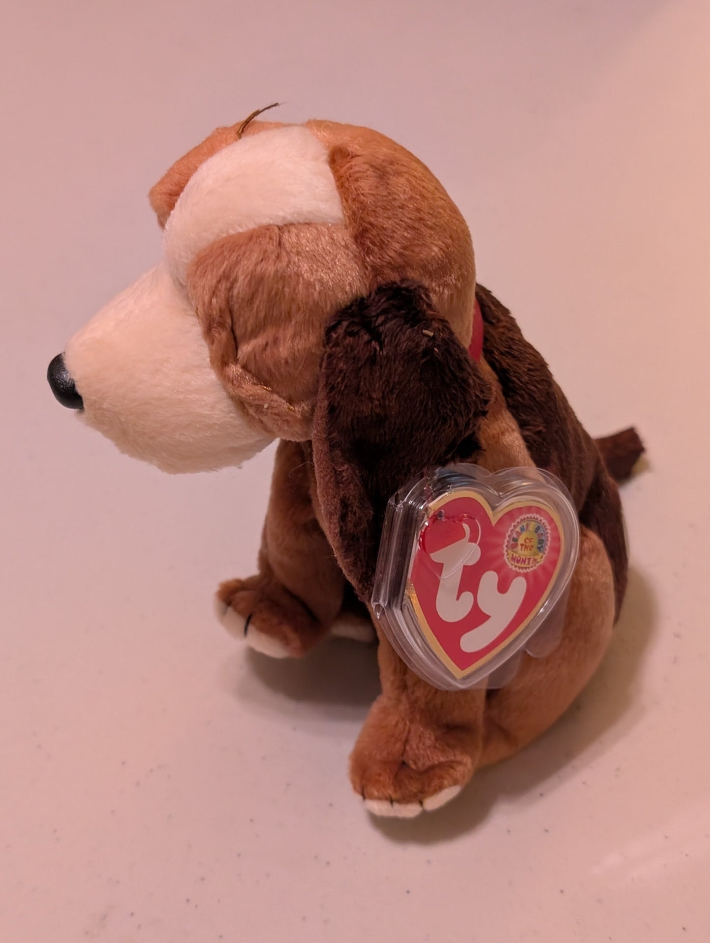 August the Dog - Ty Beanie Baby of the Month (Brown, White, 2002, Plush Toy, MWMT, Stuffed Animal, Vintage, Retired, Plushie)