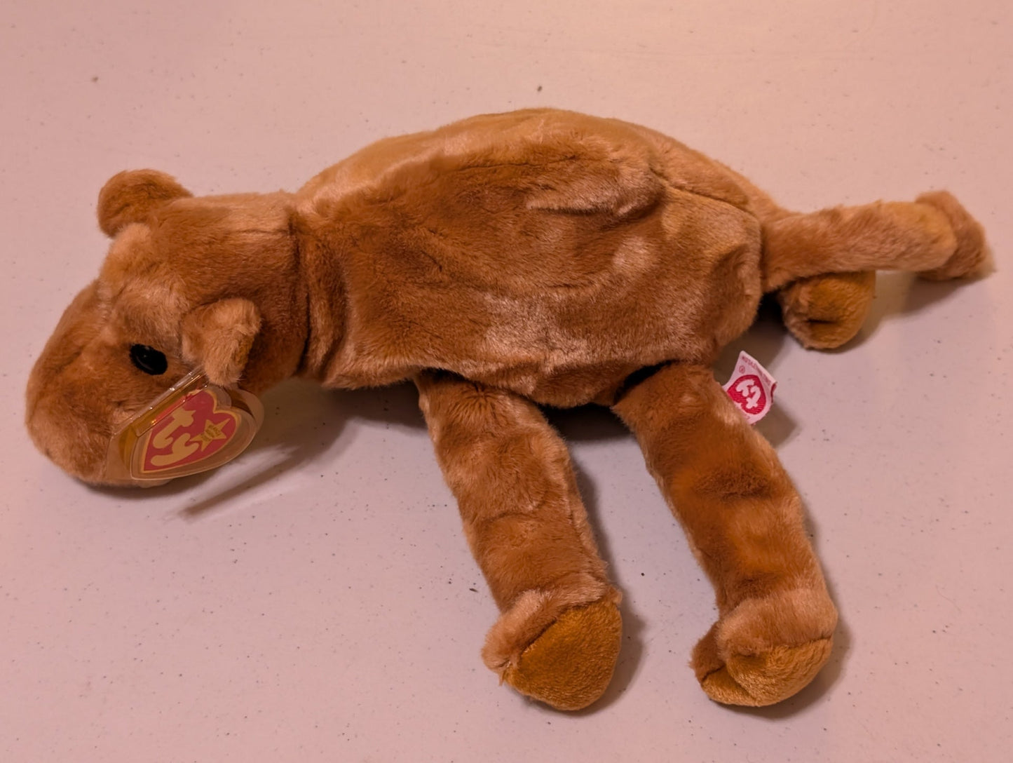 HUMPHREY the CAMEL TY BEANIE BUDDY - VINTAGE (MWMT, Vintage, Retired, with Tag, VTG, Stuffed Animal, Plush, Toy)