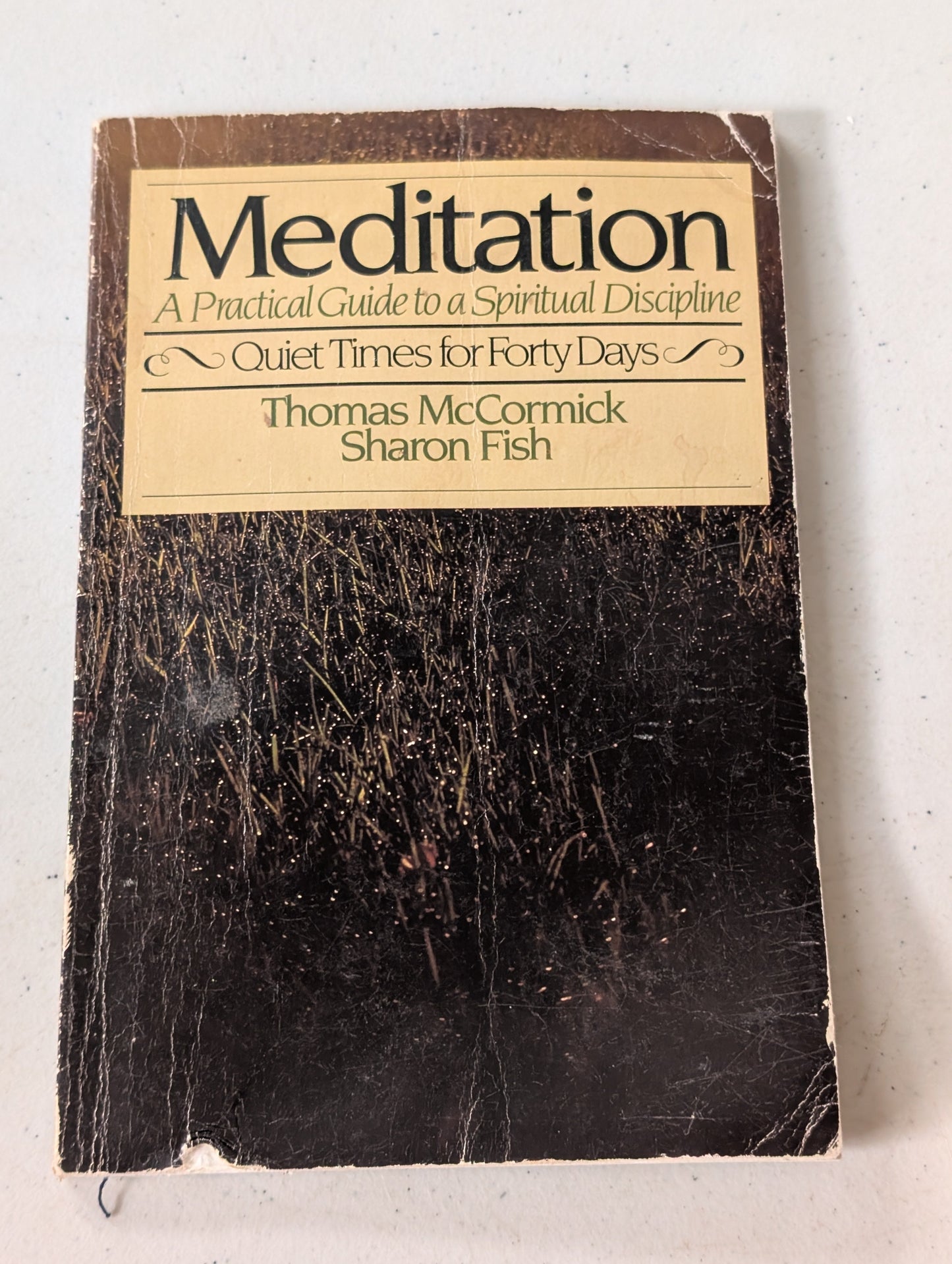 Meditation: A Practical Guide to a Spiritual Discipline by Thomas McCormick, Sharon Fish (Religious, Self-help, 1993)