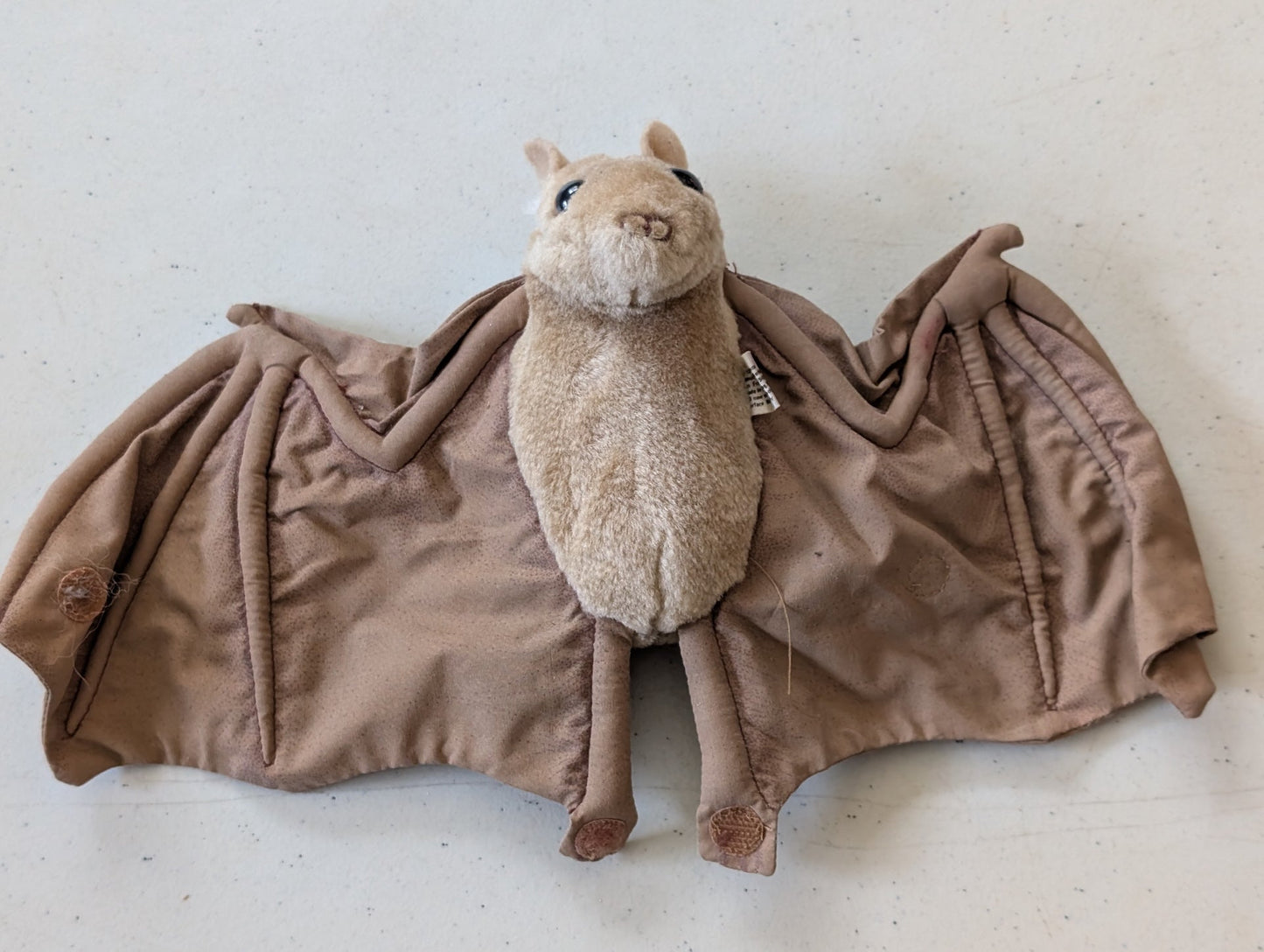 Bat with sound - Audubon Plush Toy (Brown, 2018, Plush Toy)