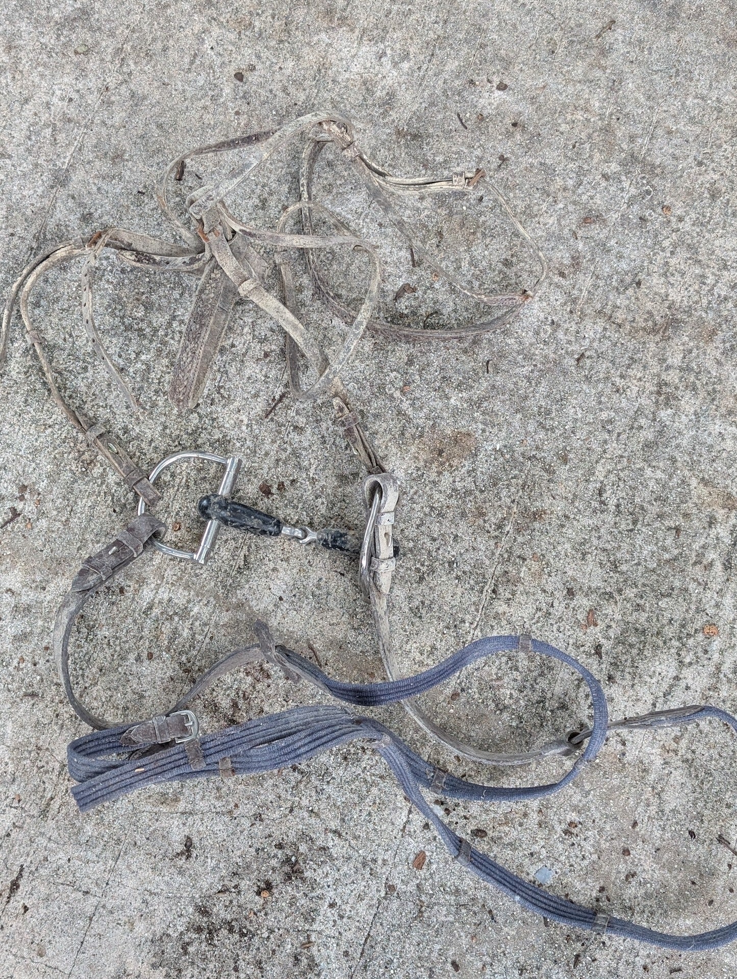 English Bridle with Full Cheek Snaffle from Unknown -  Tack (Leather, Nylon Webbing, Stainless Steel, Rubber Horse Tack, Equestrian, Farmhouse, Grey (Dirty Leather), Blue)