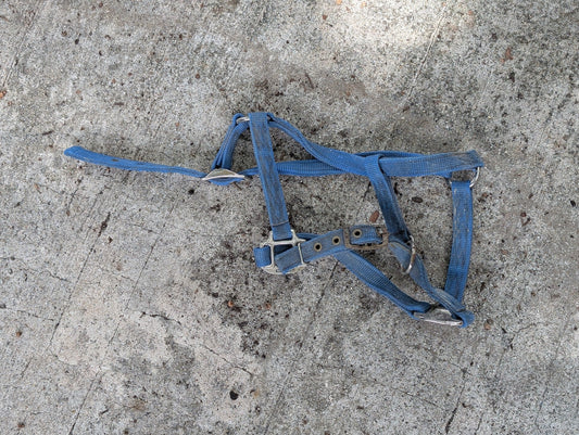 Adjustable Nylon Halter from Unknown -  Tack (Nylon, Plated Metal Horse Tack, Farm/Stable, Blue, Silver)