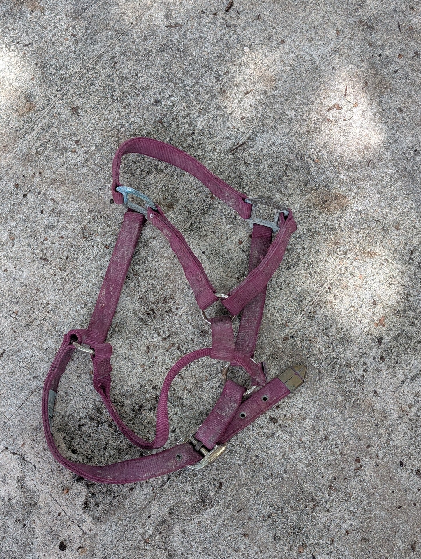 Adjustable Nylon Halter from Unknown -  Tack (Nylon, Plated Metal Horse Tack, Farm/Stable, Maroon/Purple, Silver)