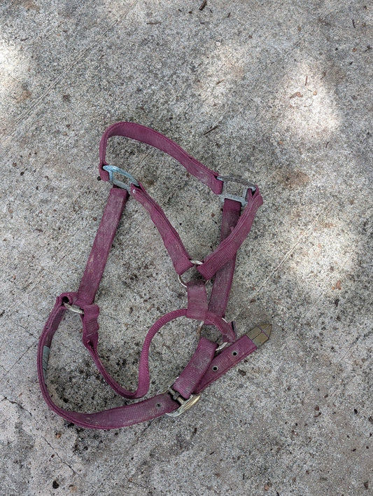 Adjustable Nylon Halter from Unknown -  Tack (Nylon, Plated Metal Horse Tack, Farm/Stable, Maroon/Purple, Silver)