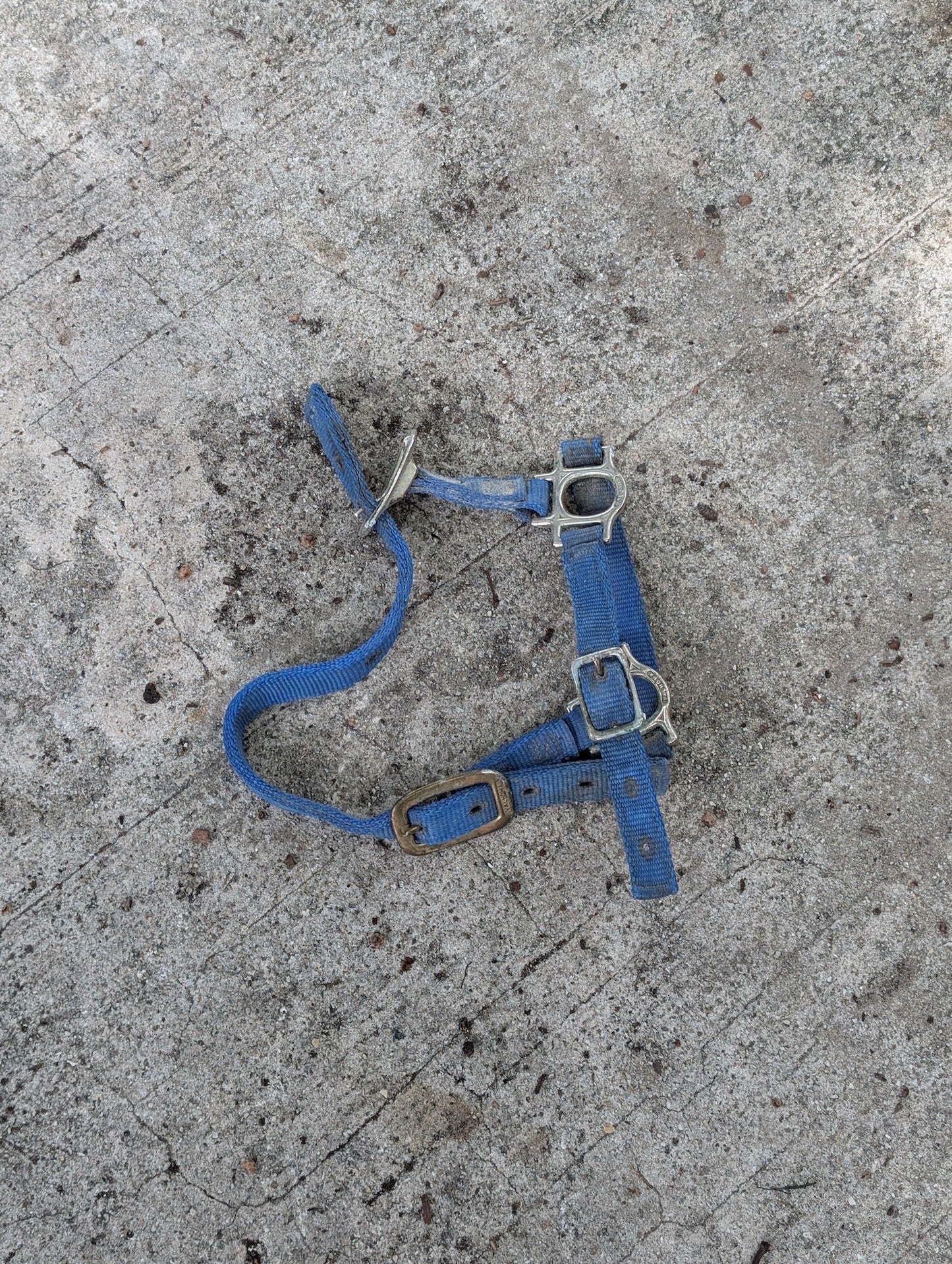 Broken Halter/Bridle Part from Unknown -  Tack (Parts) (Nylon, Plated Metal Horse Tack Part, N/A, Blue, Silver)