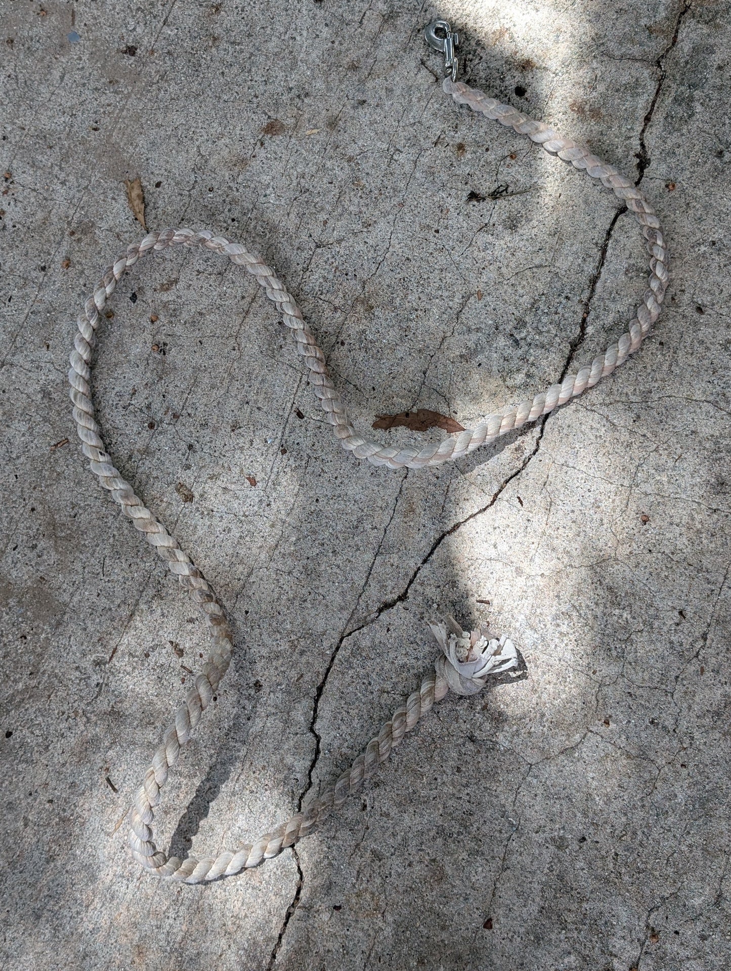 Lead Rope from Unknown -  Stable Supplies (Polypropylene or Cotton Rope, Metal Stable Supplies, Farm/Stable, White, Silver)