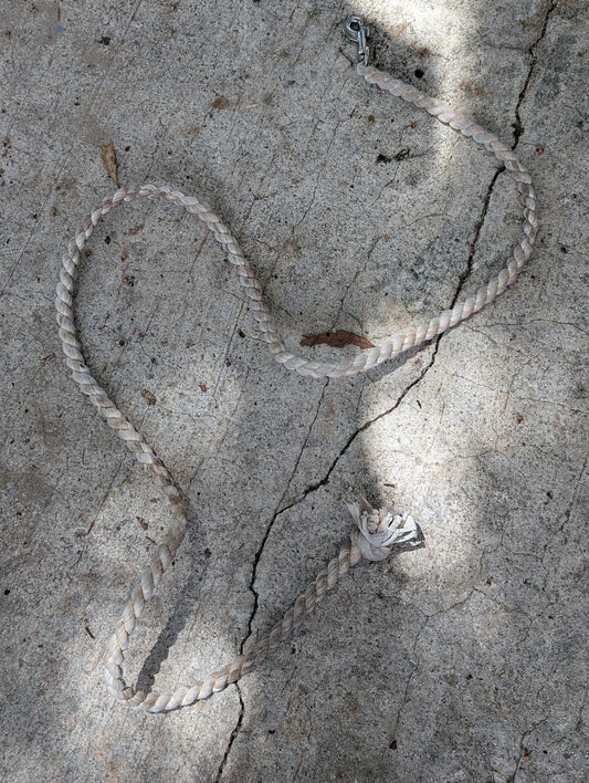 Lead Rope from Unknown -  Stable Supplies (Polypropylene or Cotton Rope, Metal Stable Supplies, Farm/Stable, White, Silver)
