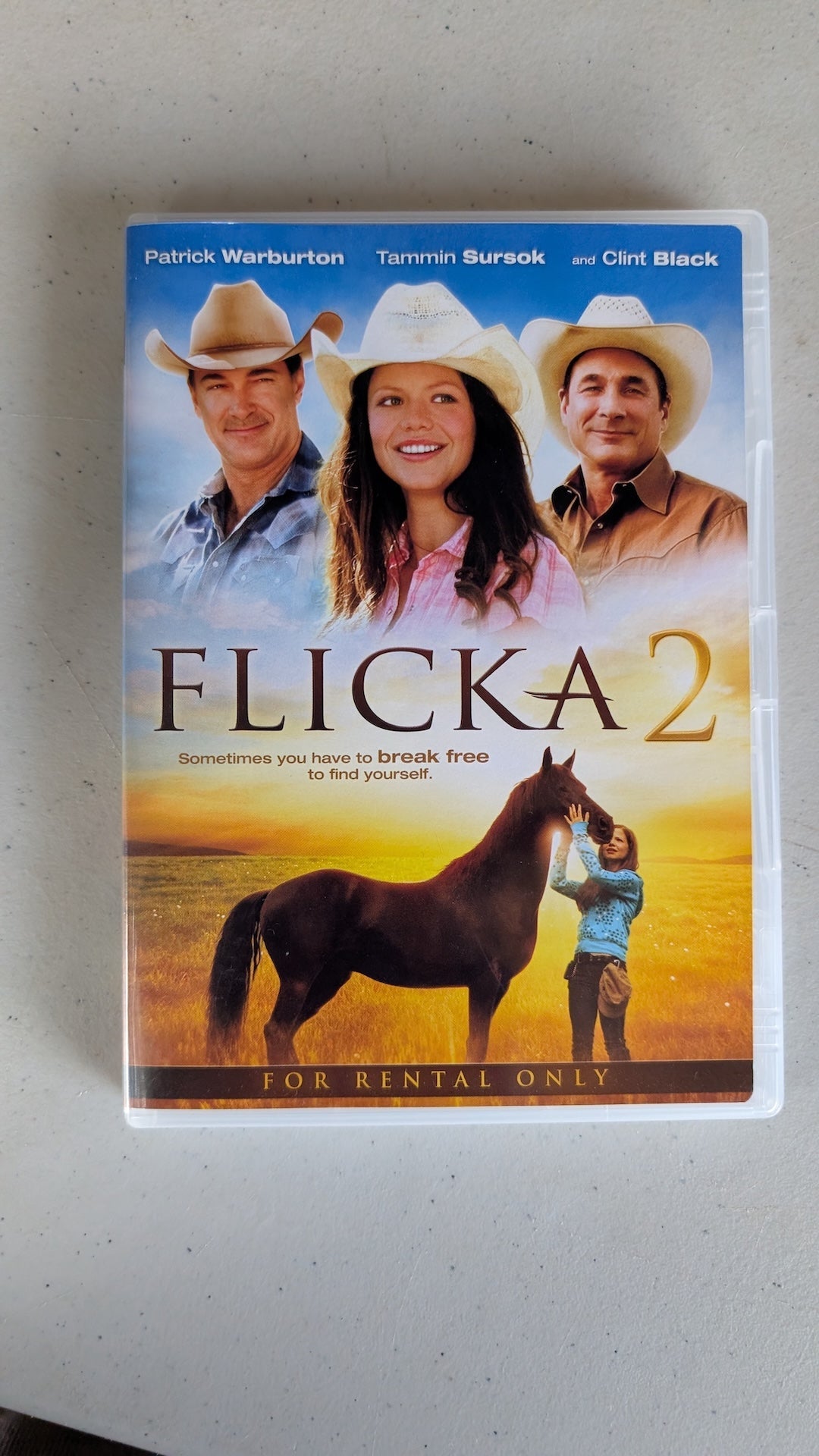 Flicka 2 (DVD, 2010, PG) Patrick Warburton, Tammin Sursok, Clint Black