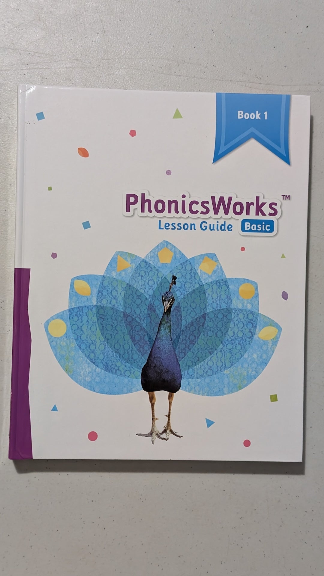 PhonicsWorks Lesson Guide, Basic, Book 1 by PhonicsWorks (Educational, Phonics, 2019)