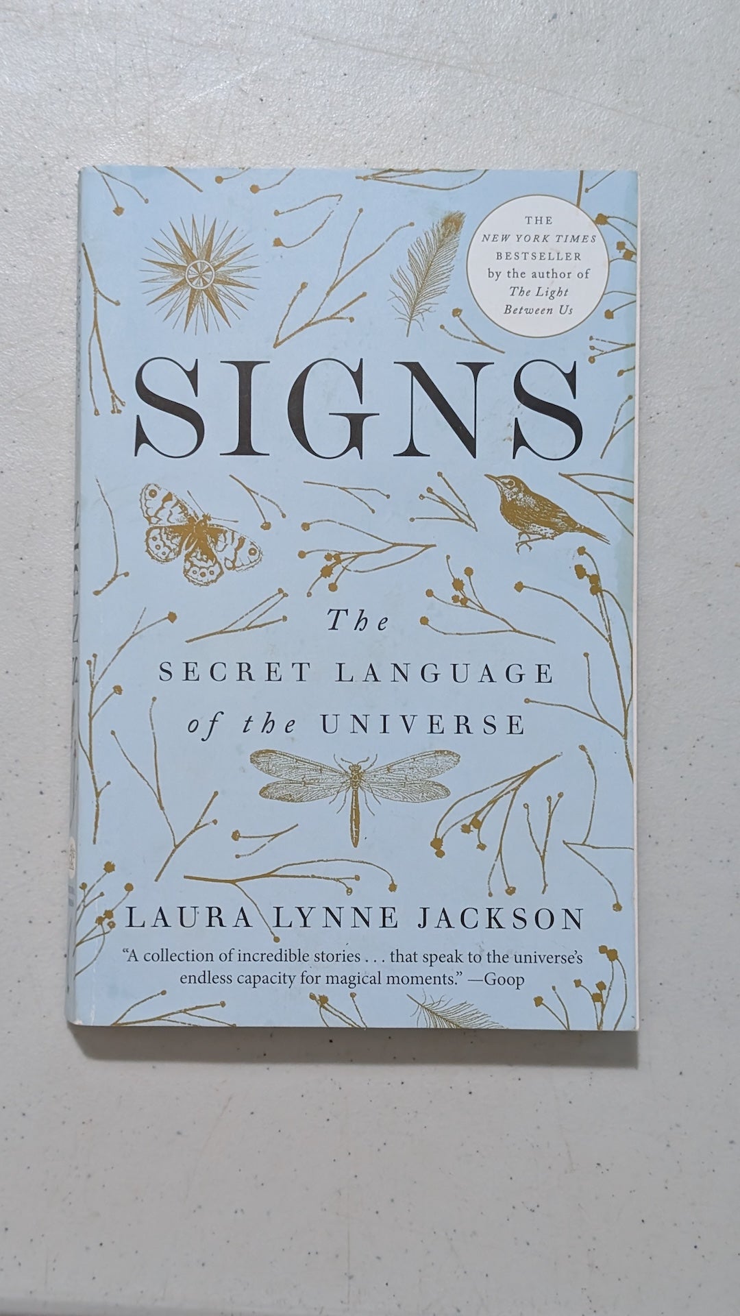 Signs: The Secret Language of the Universe by Laura Lynne Jackson (Spirituality, Memoir, 2019)
