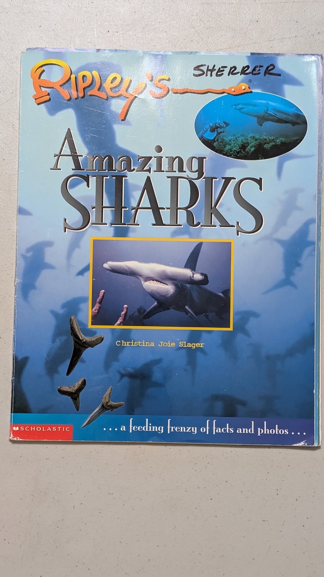 Ripley's Amazing Sharks by Christina Joie Slager (Children's Non-fiction, 2008)