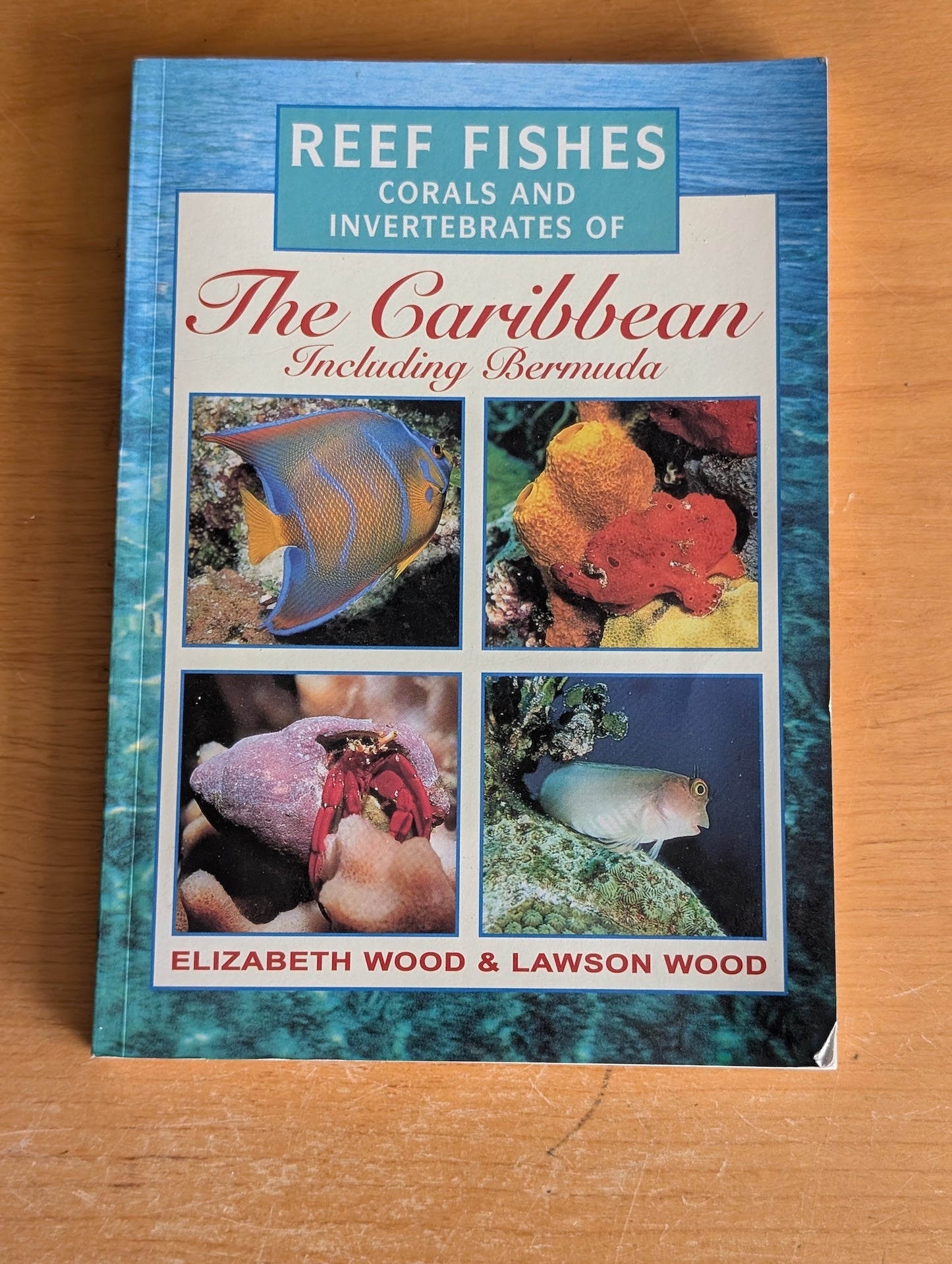 Reef Fishes, Corals and Invertebrates of The Caribbean Including Bermuda by Elizabeth Wood & Lawson Wood (Field Guide, Nature, 1999)