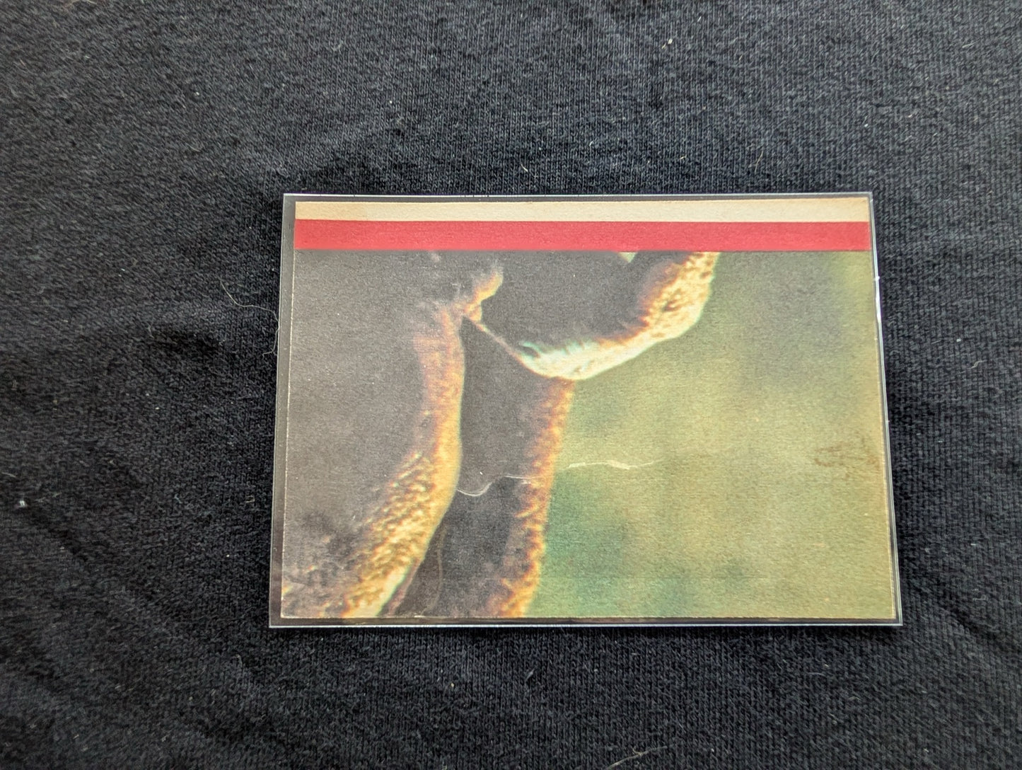 Lot of 2 Vintage 1982 Topps E.T. The Extra-Terrestrial Movie Cards Red Border