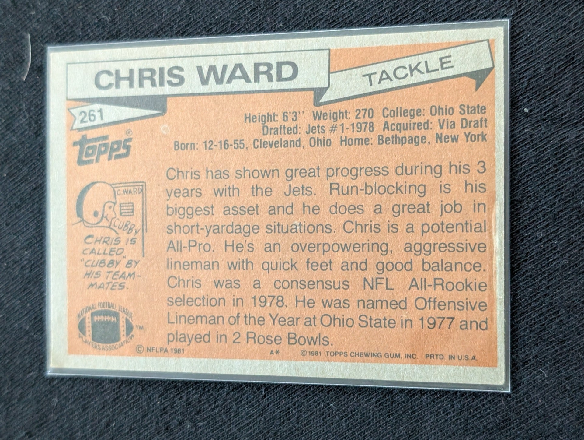 Chris Ward 1980 & 1981 Topps New York Jets Lot (2) Vintage Tackle Cards