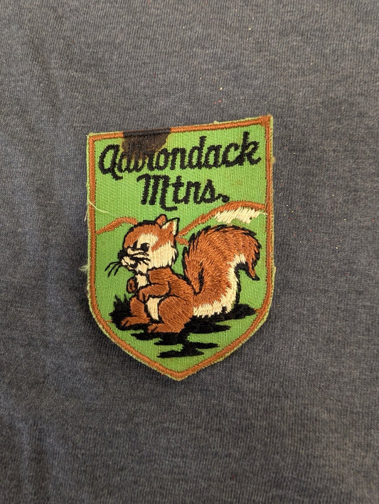 Vintage Adirondack Mtns Souvenir Patch Squirrel Embroidered Travel Shield
