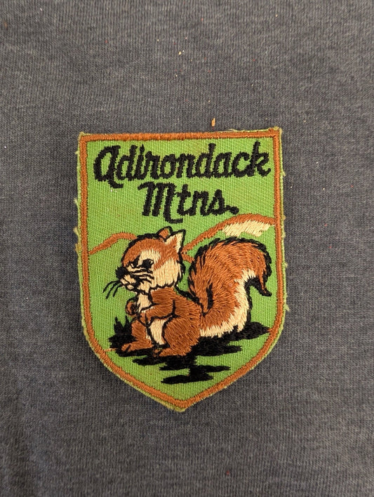Vintage Adirondack Mountains Patch Squirrel Nature Souvenir New York Travel