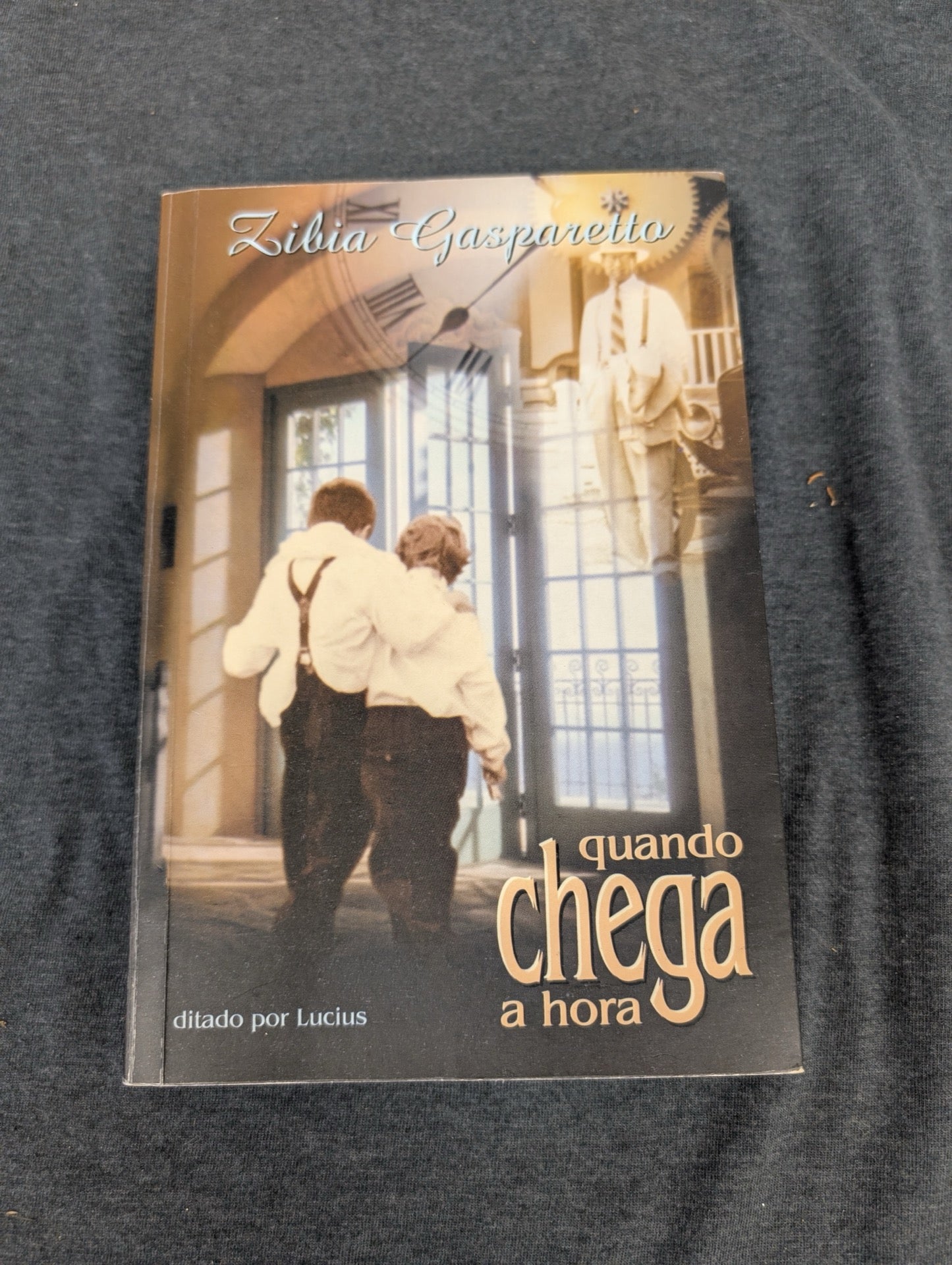 Quando Chega a Hora by Zibia Gasparetto - Portuguese Spiritist Novel