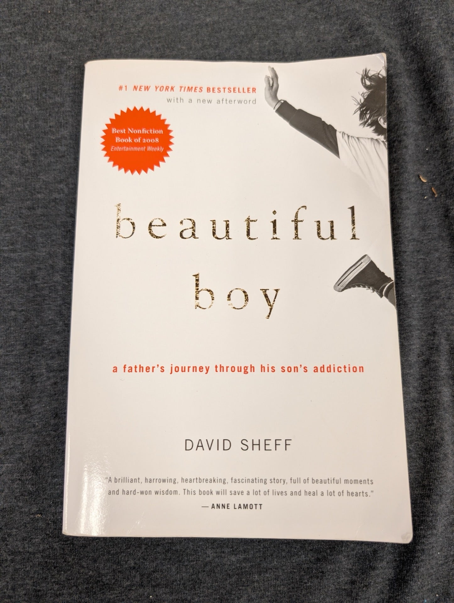 Beautiful Boy by David Sheff - Memoir of Addiction - NYT Bestseller