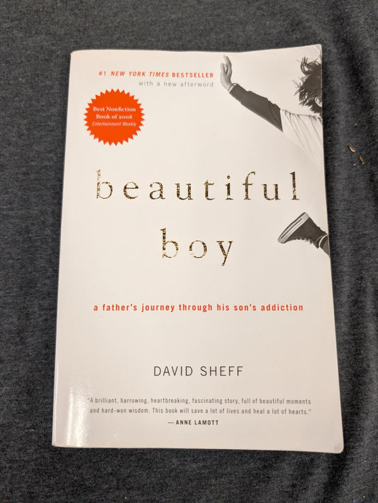 Beautiful Boy by David Sheff - Memoir of Addiction - NYT Bestseller